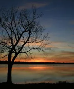 A beautiful view of Cedar Hill