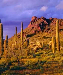 A beautiful view of Goodyear