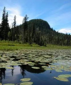 A beautiful view of Prince George – a popular city among our users