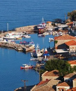 A beautiful view of Mythimna