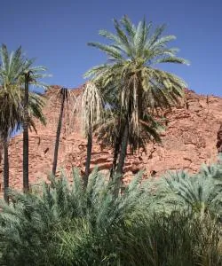 A beautiful view of Tabuk serviced by Tabuk Regional Airport