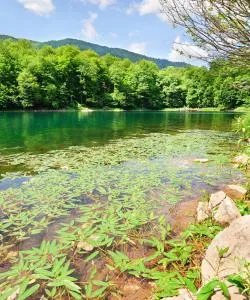 A beautiful view of Kolašin – a popular city among our users