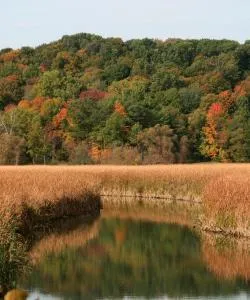 A beautiful view of Webster