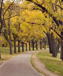A beautiful view of Brooklyn Park.