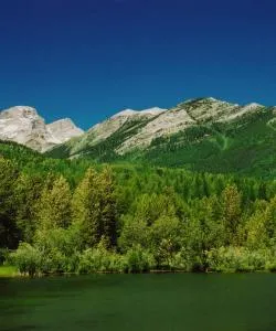 Een mooi uitzicht op Fernie – een populaire stad onder onze gebruikers