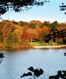 A beautiful view of Sharonville