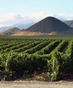 A beautiful view of Paso Robles