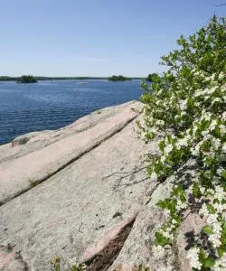 A beautiful view of Lindsay
