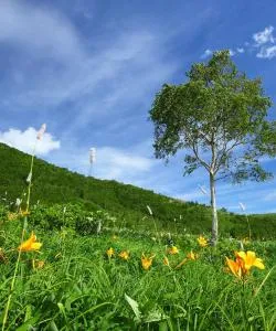 A beautiful view of Minakami – a popular city among our users