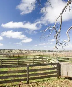A beautiful view of Gunnedah.