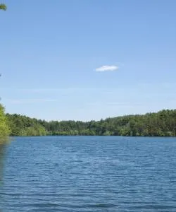 A beautiful view of Woburn