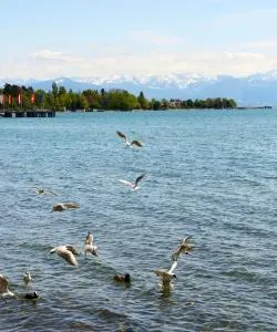 A beautiful view of Uster