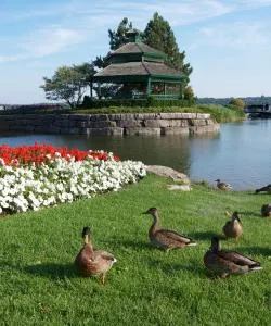 Piękny widok na miasto Barrie – miasto popularne wśród naszych użytkowników