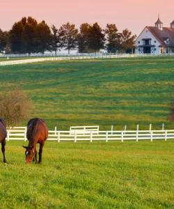 A beautiful view of Paducah
