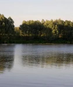 A beautiful view of Koltsovo – a popular city among our users