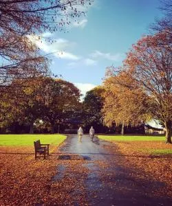A beautiful view of Crewe – a popular city among our users