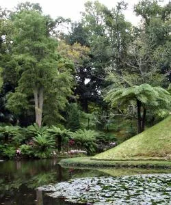 A beautiful view of Furnas – city popular among our users.