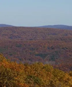 A beautiful view of Ozark