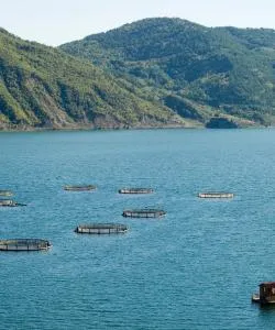 A beautiful view of Samsun