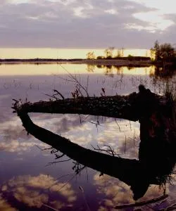 A beautiful view of White Bear Lake.