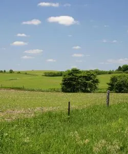 A beautiful view of Bowmanville