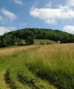 A beautiful view of Pamiers