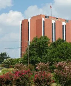 A beautiful view of Murray