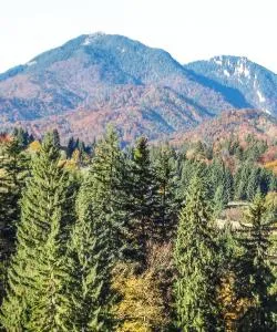 Una bonita panorámica de Timisul de Jos, una ciudad popular entre nuestros usuarios