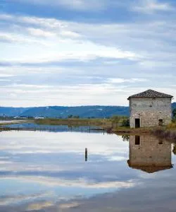 A beautiful view of Sečovlje – a popular city among our users