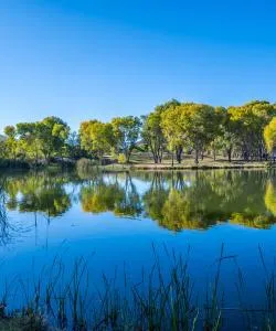 A beautiful view of Cottonwood – a popular city among our users
