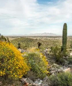 A beautiful view of Casa Grande.