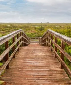 A beautiful view of Titusville