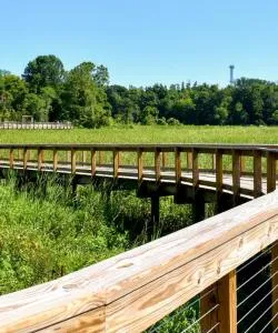 A beautiful view of Woodbridge.