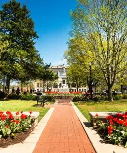 A beautiful view of Bentonville – a popular city among our users