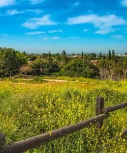 A beautiful view of Fullerton