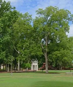 A beautiful view of Greenville serviced by Pitt-Greenville Airport.
