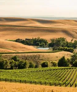 A beautiful view of Walla Walla – a popular city among our users