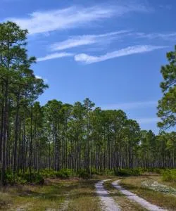A beautiful view of Punta Gorda serviced by Charlotte County Airport