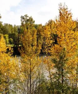 Una bonita panorámica de Corvallis