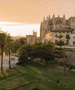 A beautiful view of Palma de Mallorca – a popular city among our users