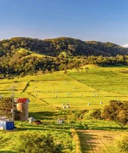 A beautiful view of Nowra