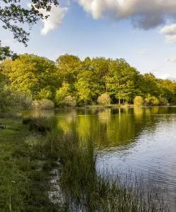 A beautiful view of Rambouillet