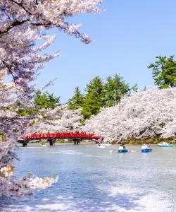 A beautiful view of Aomori – a popular city among our users