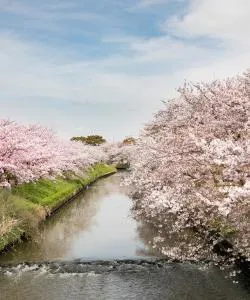 船橋市の美しい景色