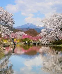 A beautiful view of Koriyama