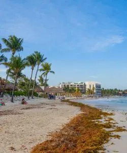 A beautiful view of Ciudad del Carmen – a popular city among our users