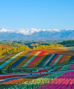 A beautiful view of Furano – a popular city among our users
