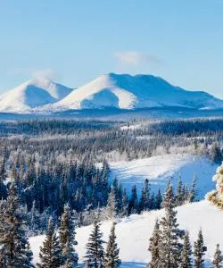 A beautiful view of Whitehorse – city popular among our users.