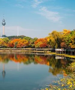 A beautiful view of Daegu