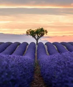 A beautiful view of Manosque